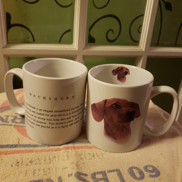taskets Other - Dachshunds mug 16 oz coffee mug set of 2